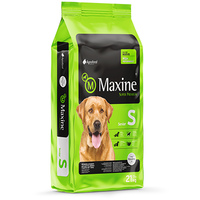 Maxine Senior 21 kg