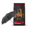 Pro Plan Adulto Raza Grande 15 kg + Paraguas