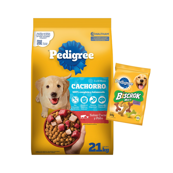Pedigree Cachorro 21 kg + Biscrock 500 gr