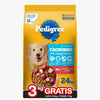 Pedigree Cachorro 21+3 kg