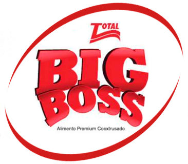 Big Boss