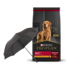 Pro Plan Adulto Raza Mediana 15 kg+ Paraguas